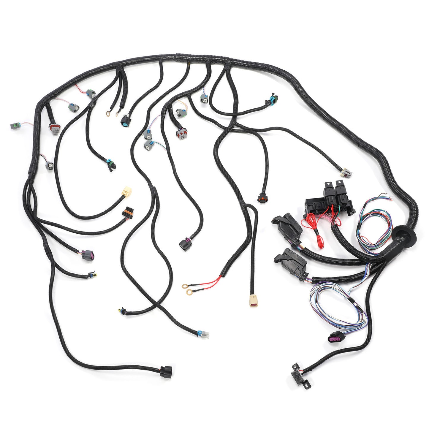 LS3 LS2 6.2L Standalone Harness 6l80E/6l90E 58X Drive By Wire DBW Truc Vett SY