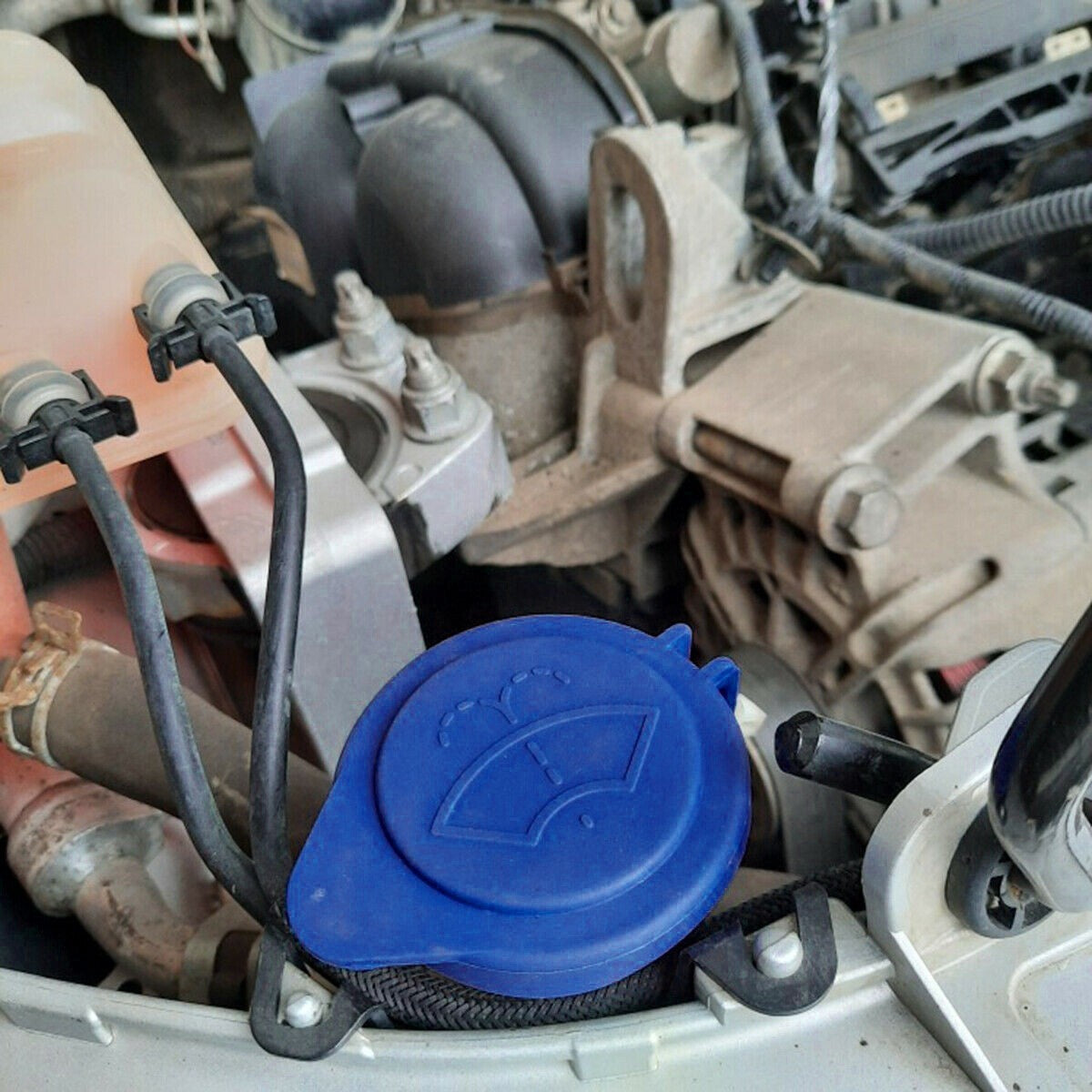 Windshield Washer Fluid Reservoir Cap Tank for Ford Focus 11-15 Blue 1708196