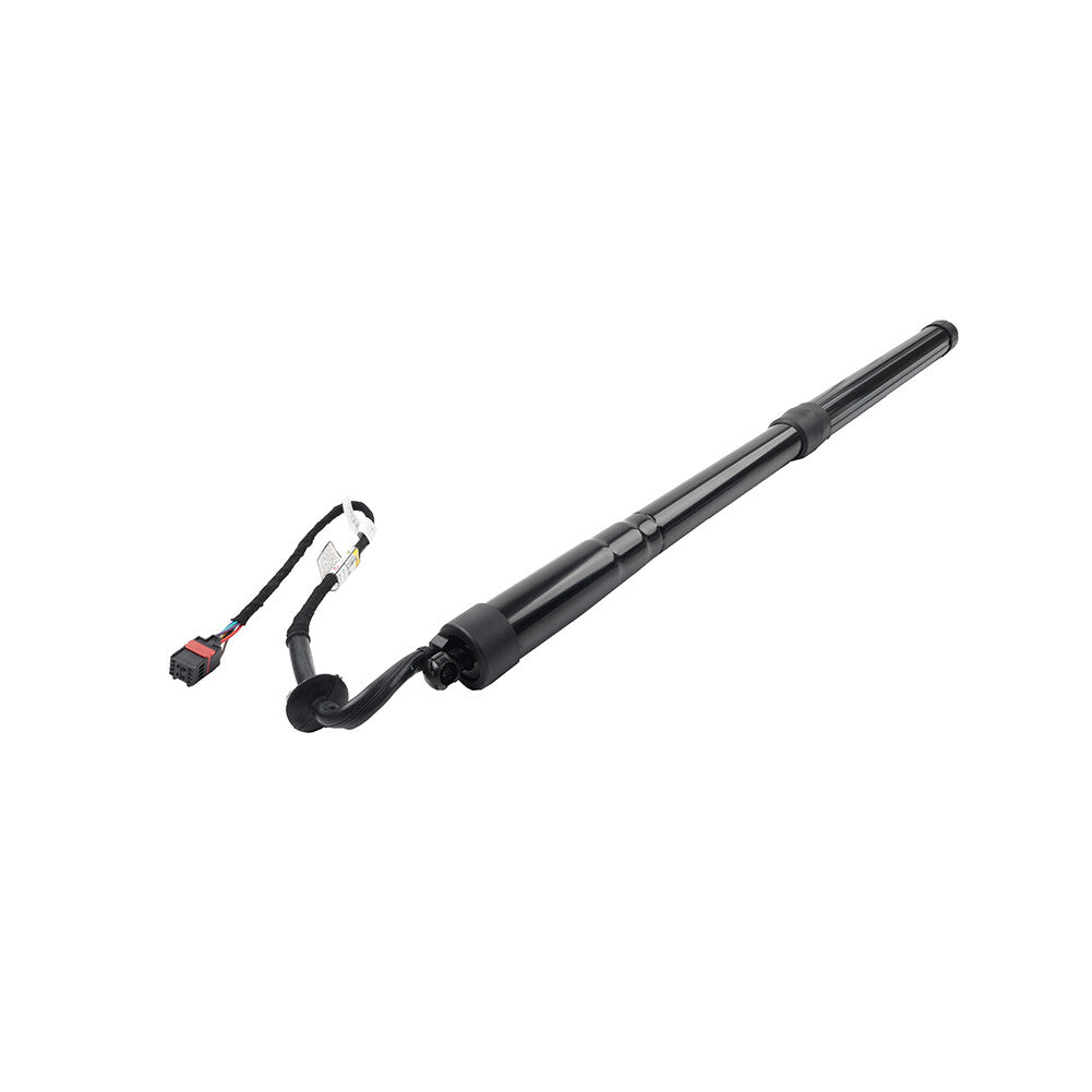 Trunk Tailgate Lift Support for Land Rover for Range Rover Sport 2005-2013 13 11
