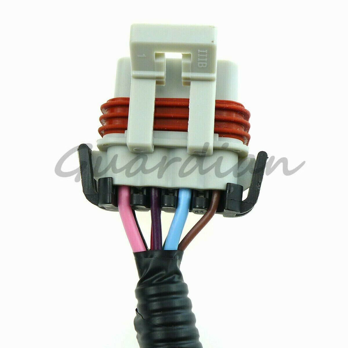 Wiring Harness Stand Alone For LS1 4L60E DBC 4.8 6.0 1997-2006 1998 1999 2003
