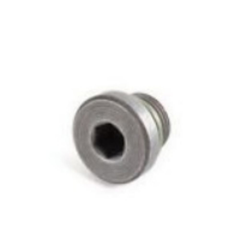 WHT005804 Screw Plug for VW Transmission Housing