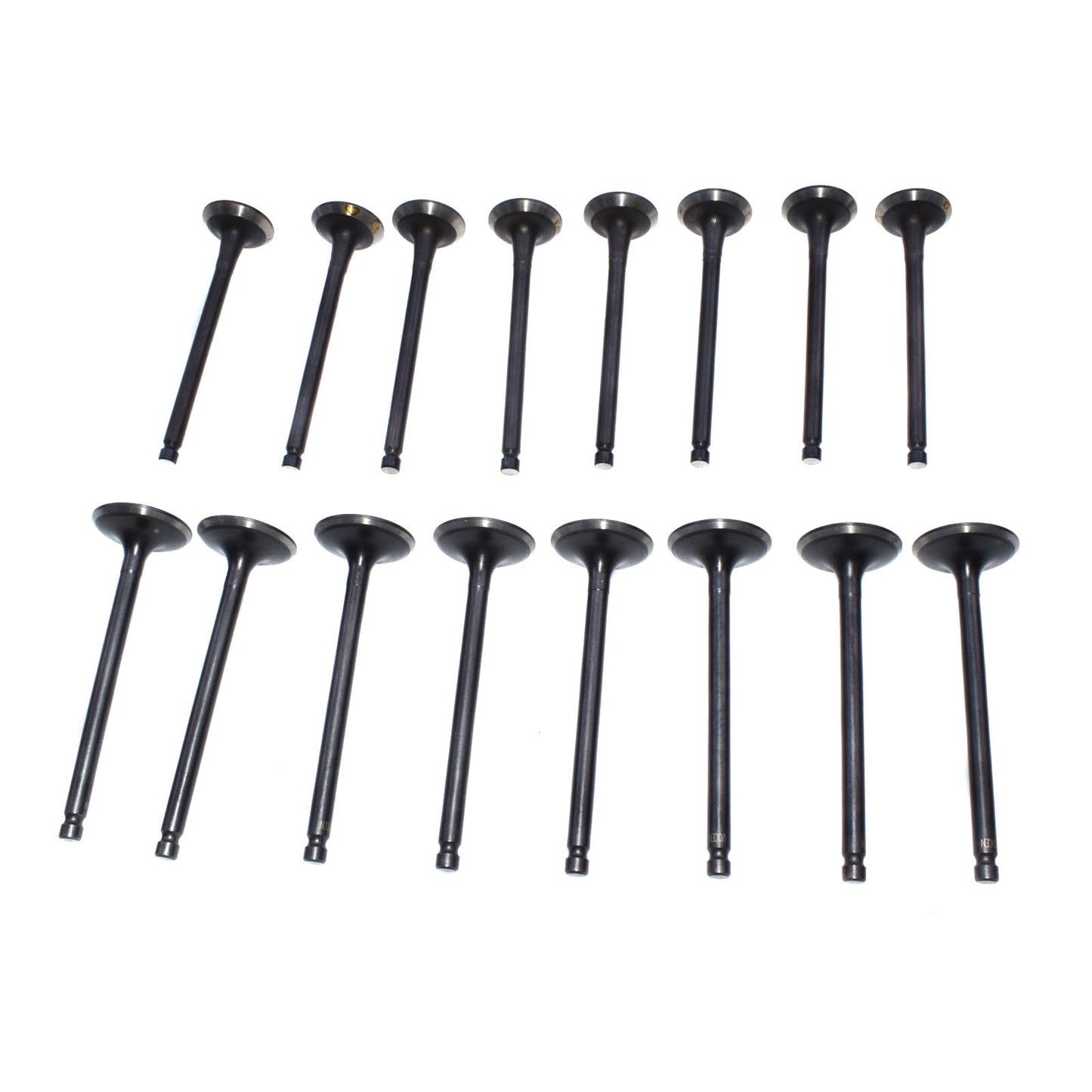 Intake and exhaust valve kit suitable for the for Hyundai Accent and for Kia Rio5 1.6L (brand new)