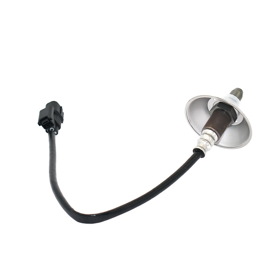 Oxygen Sensors
