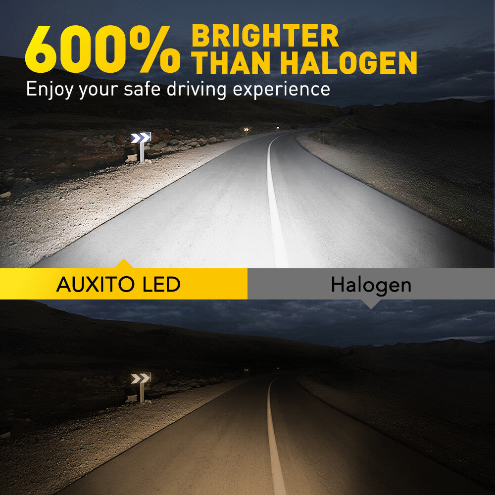 H11 H8 H9 LED Senior Clinic 6500K White Light