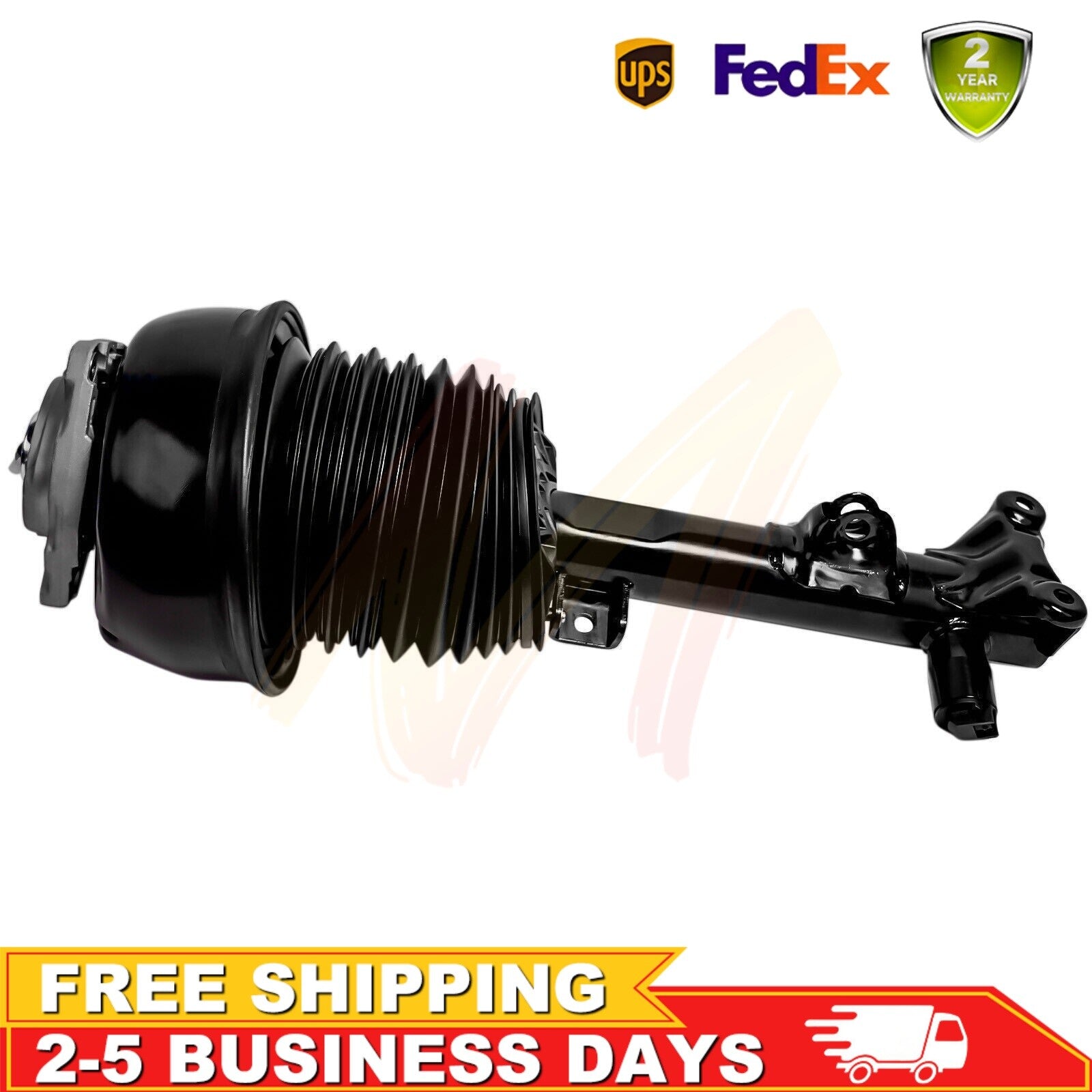 Pair Front Shock Struts Spring Assys for BMW X3 F25 2011-2017 X4 F26 2015-2018