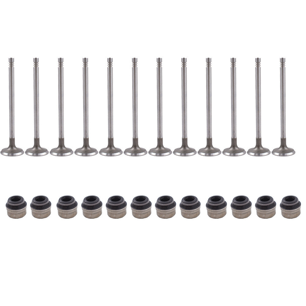 12PCS inlet Valve for VW for AUDI A4 A4 Q A6 A6 Q for GOLF for JETTA for PASSAT 058109601C