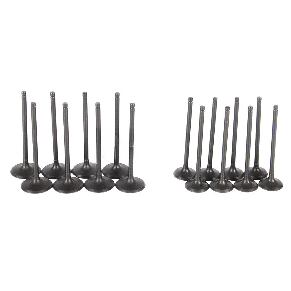 Intake and exhaust valve kit for Ford Focus EcoSport 2012-2018
