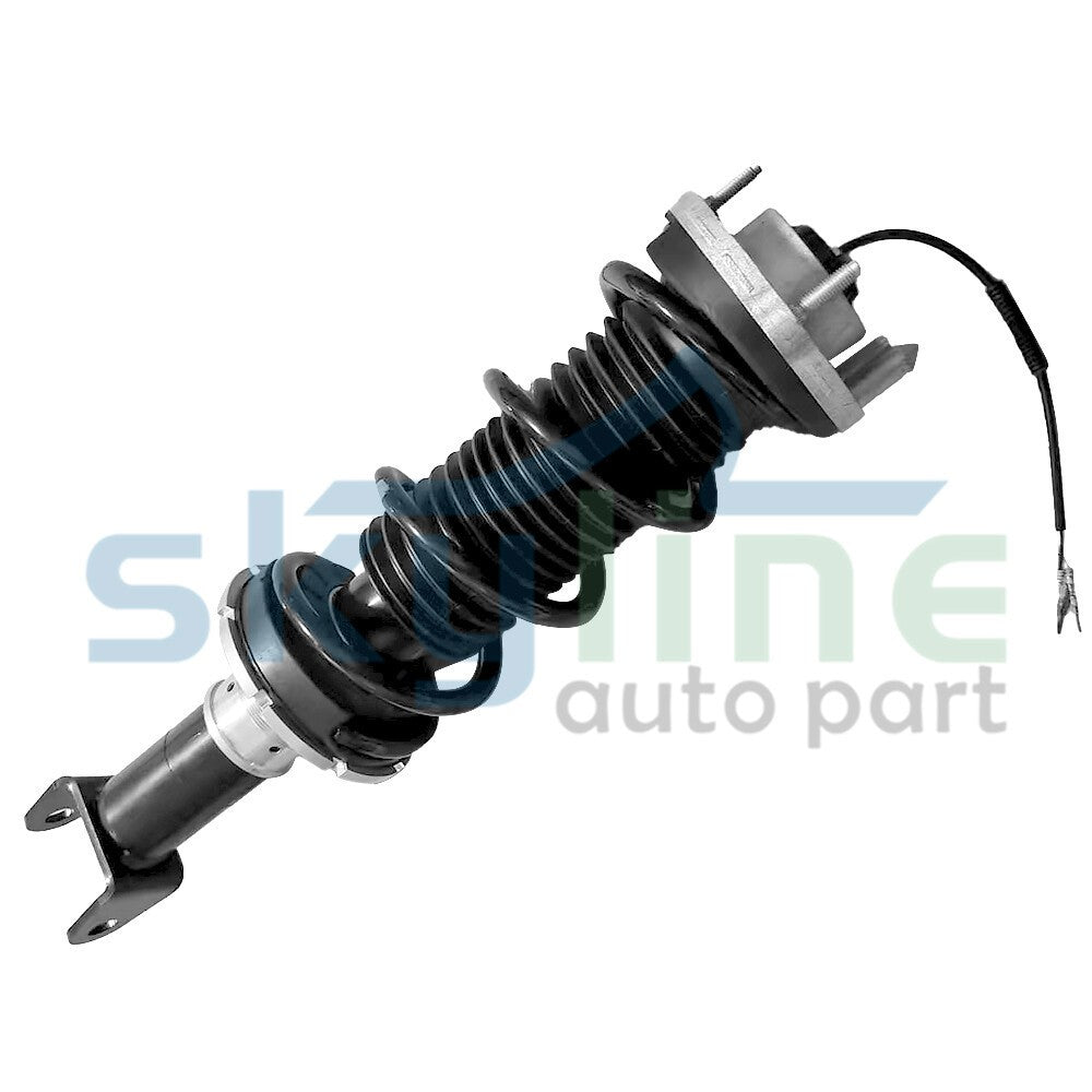 2x Fit for Kia Sedona Carnival 2015-2021 Front L&R Shock Absorber Cores without EDC