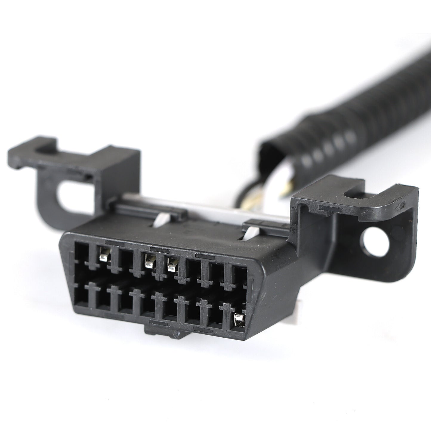 LS1 Standalone Wiring Harness T56 Or Non-Electric Tran 4.8,5.3,6.0 1997-2006 DBC
