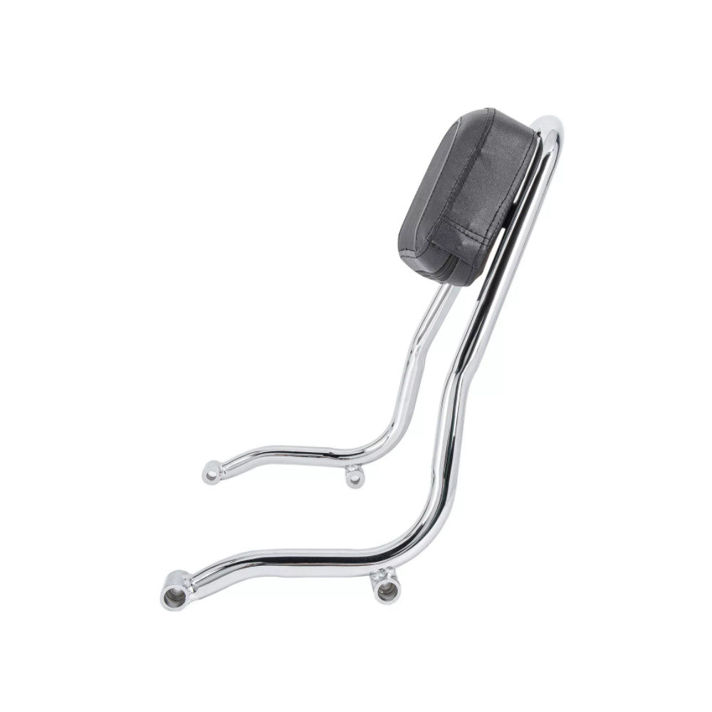 Chrome Rear Passenger Backrest Sissy Bar Fit for BMW R18/R18 Classic 2020-later