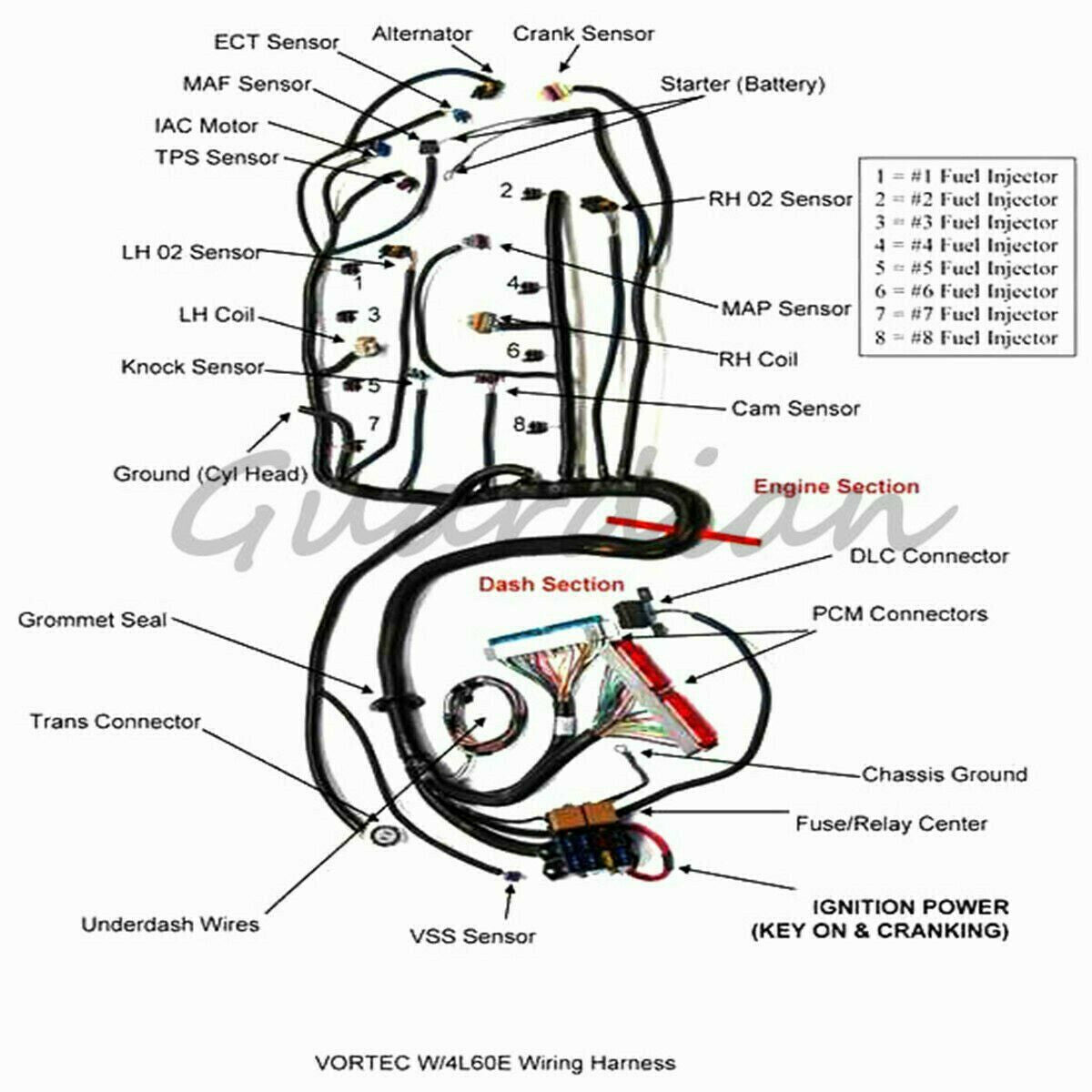 Wiring Harness Stand Alone For LS1 4L60E DBC 4.8 6.0 1997-2006 1998 1999 2003