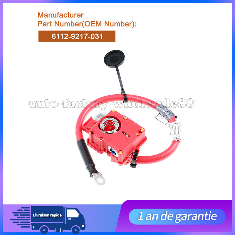 Cable Positif de Batterie Pour for BMW E82 E84 E88 E90 E91 E92 61129217031 Neuf