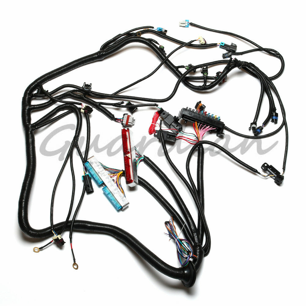 Independent wiring harness LS1-T56 suitable for non-electric Tran 4.8 6.0 DBC 97-06 98 99