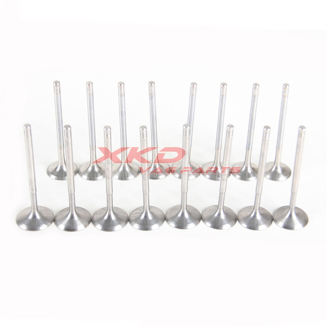 2.0L Inlet Valve Outlet Valve Set Fit for BMW 118i 120i 318i 320i N46