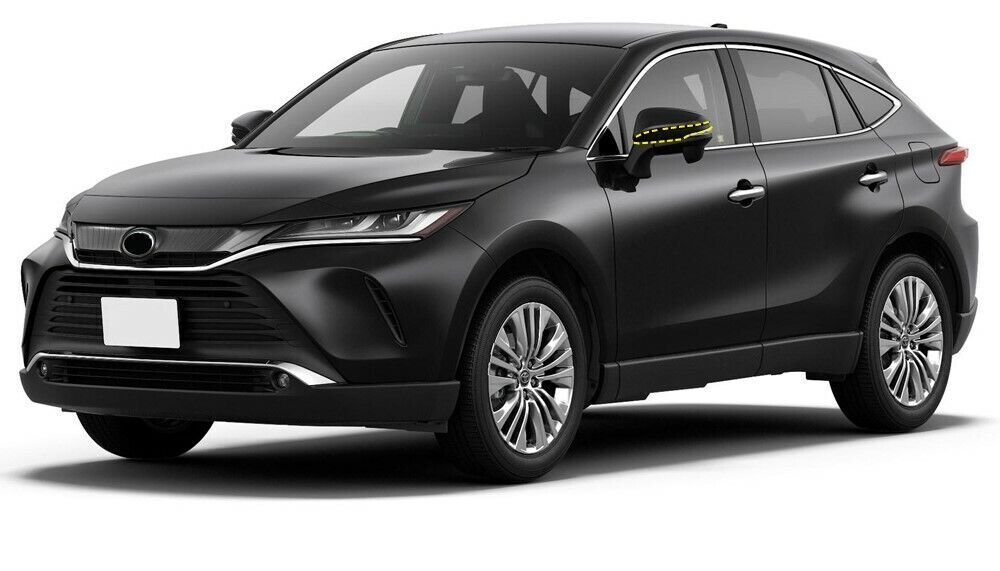 Rearview Side Mirror Strips Trim Black Steel For 2020-2023 for Toyota Harrier Venza