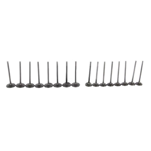 CM5E6505AD Intake Exhaust Valves Kit for Ford Focus EcoSport 12-18