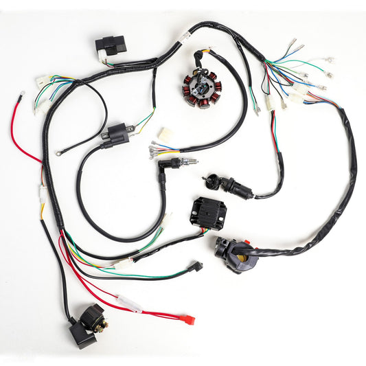Electric wiring harness for all-terrain vehicles and go-karts, 150cc, 200cc, 250cc engines, Taodao Roketa
