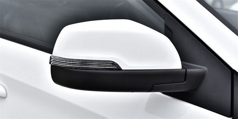 Right Side Mirror Light Turn Signal Indicator Lamp for Chery Tiggo 2/3X 2017-20