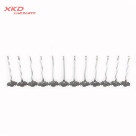 2.5L/3.0L Intake Valve Kit Fit for Mercedes Benz C250 E230 R300 S300 E25 E30