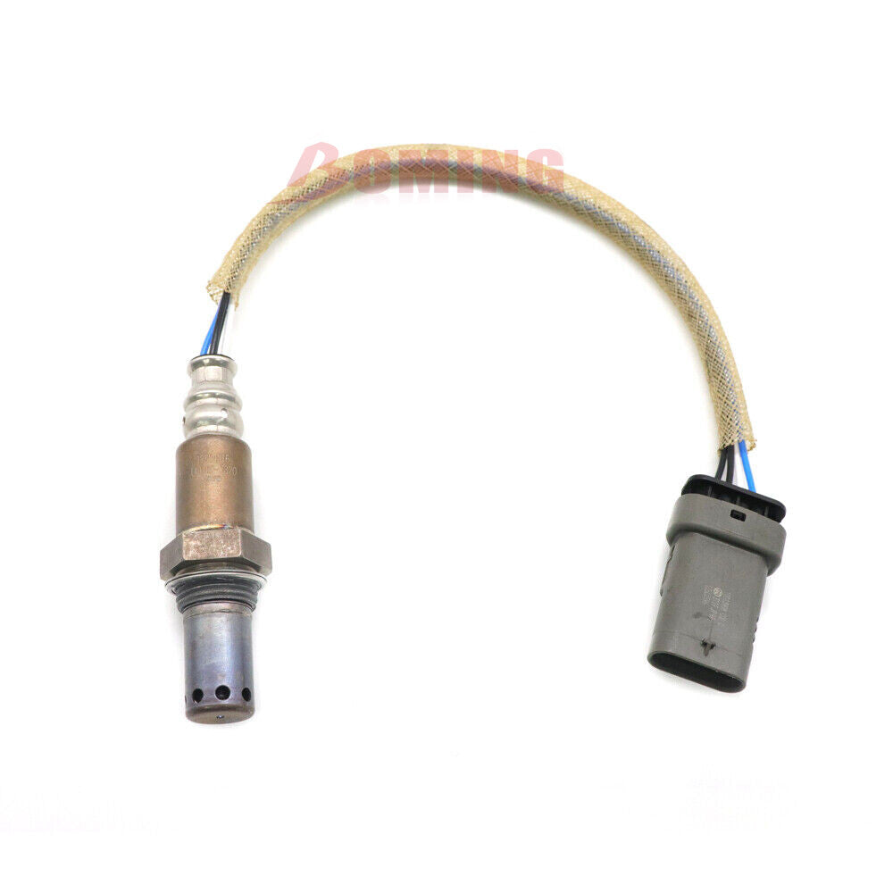 22303391 Socket for Volvo Trucks D11 D13 D16 for Mack New NOx Sensor