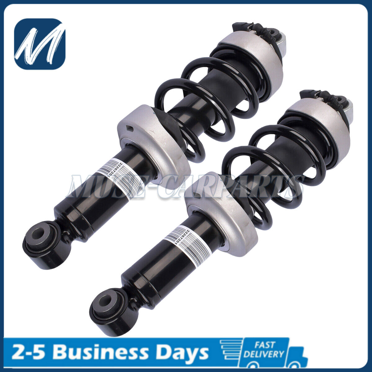 Front L+R Shock Strut Assembly Fit for BMW E60 525xi 530xi 528i 535i Xdrive 2006-10