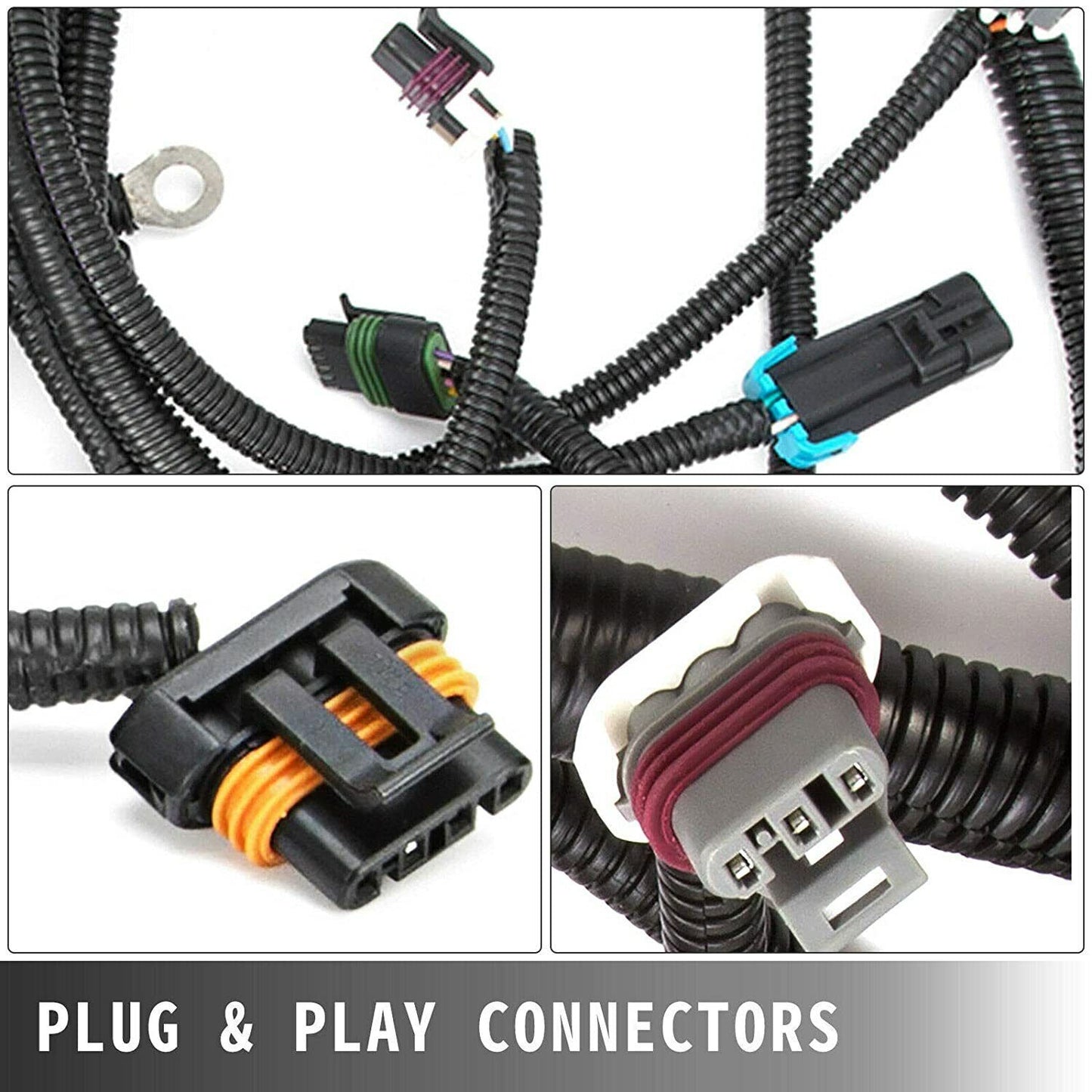 W/4L80E Standalone Wiring Harness (DBC) for 97-06 LS1 LS LS6 SWAP VORTEC US