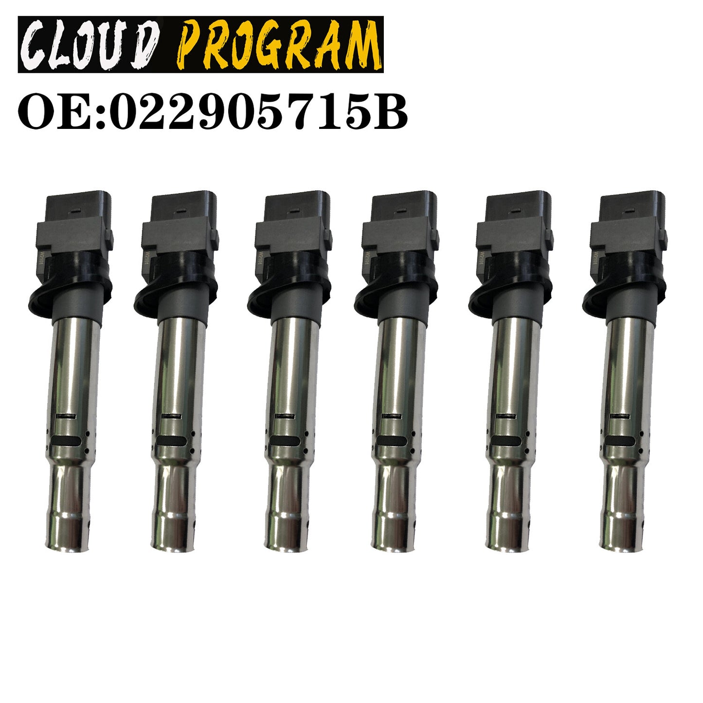 6 ignition coils, 022905715b, suitable for VW , for Volkswagen EOS, Touareg, for Audi A3, TT, Quattroporte.